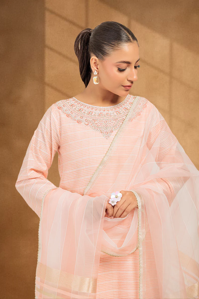 PINK-FANCY-3 PIECE (PWS5243P14) - Image 3